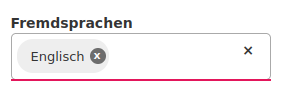 The language filter form on the website steuerberater.de