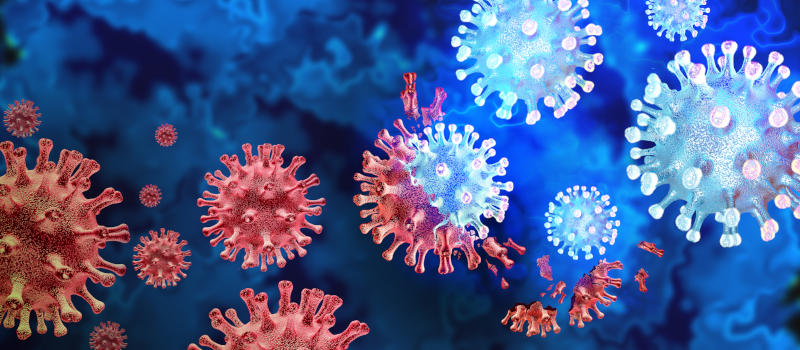 A computer-generated image of Coronaviruses